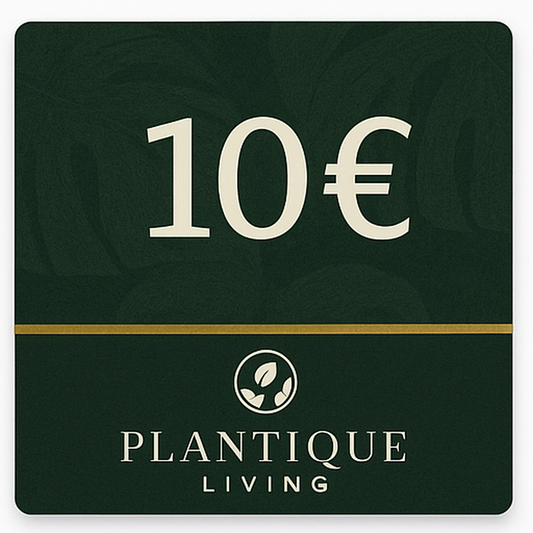 PlantiqueLiving-Gutschein