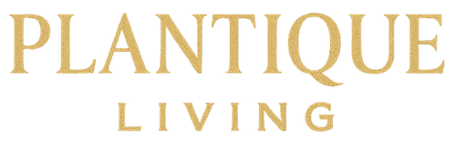 PlantiqueLiving