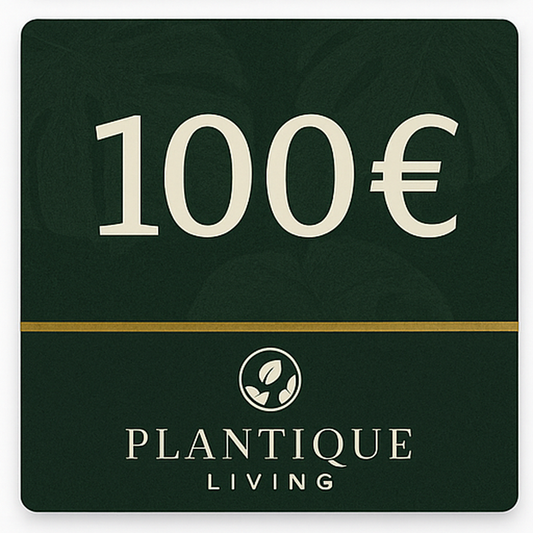 PlantiqueLiving-Gutschein