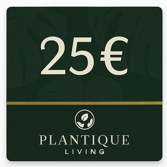 PlantiqueLiving-Gutschein