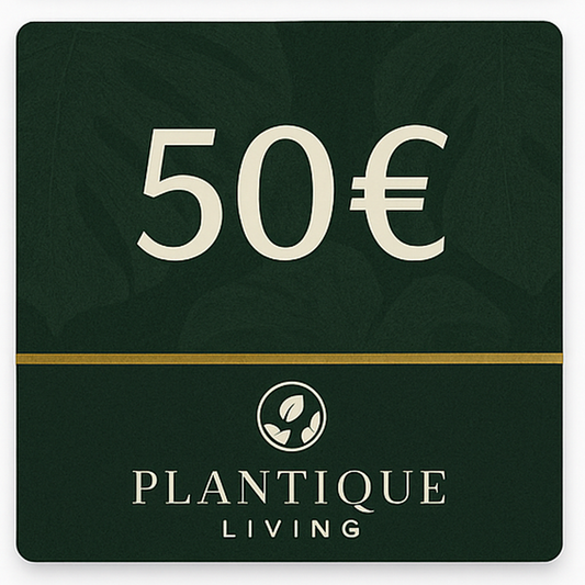 PlantiqueLiving-Gutschein
